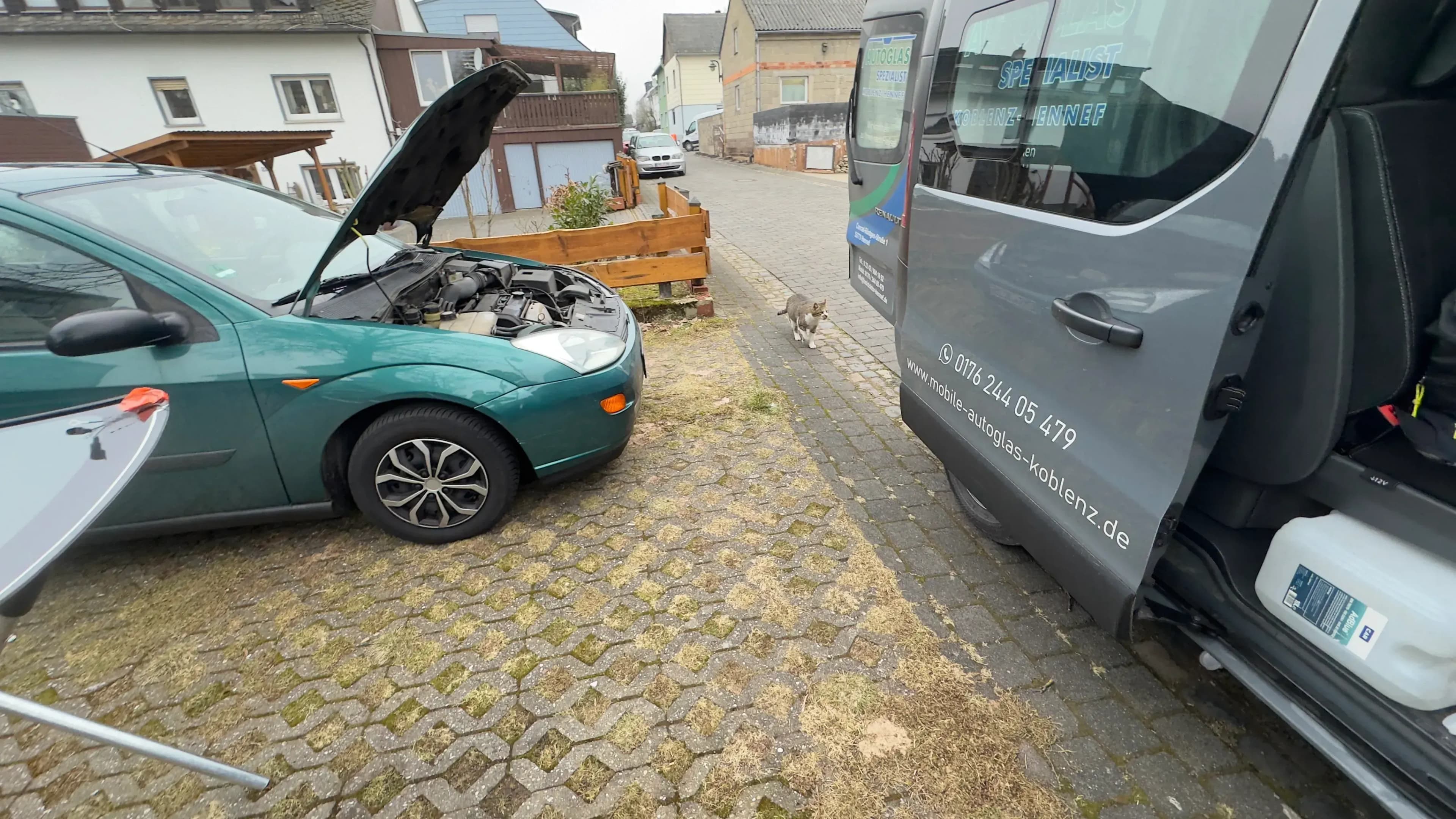 Steinschlag Reparatur in Cochem
